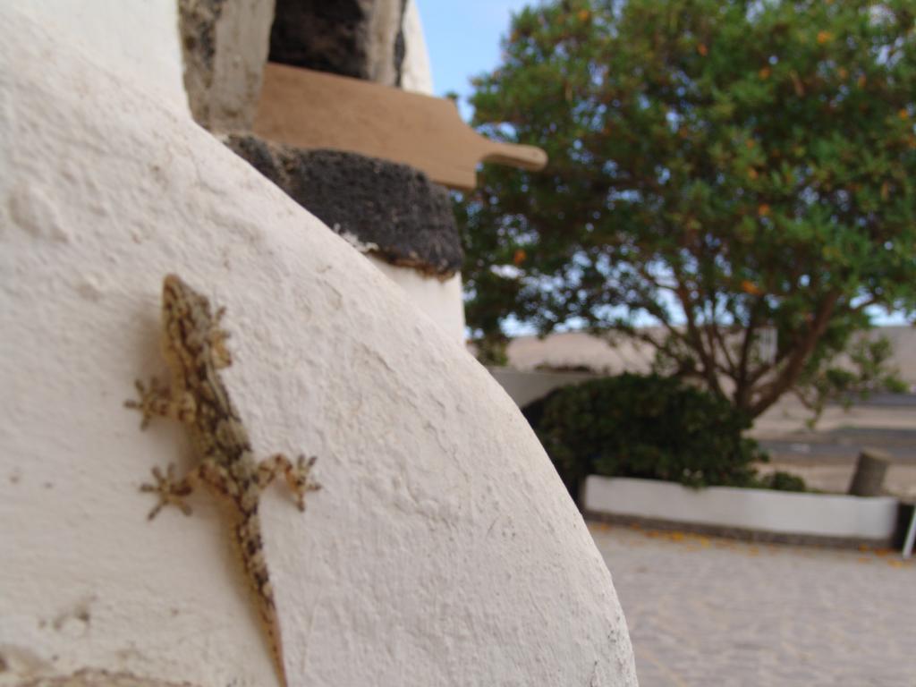 Гостевой дом Kalindi Lanzarote Коста-Тегисе Экстерьер фото