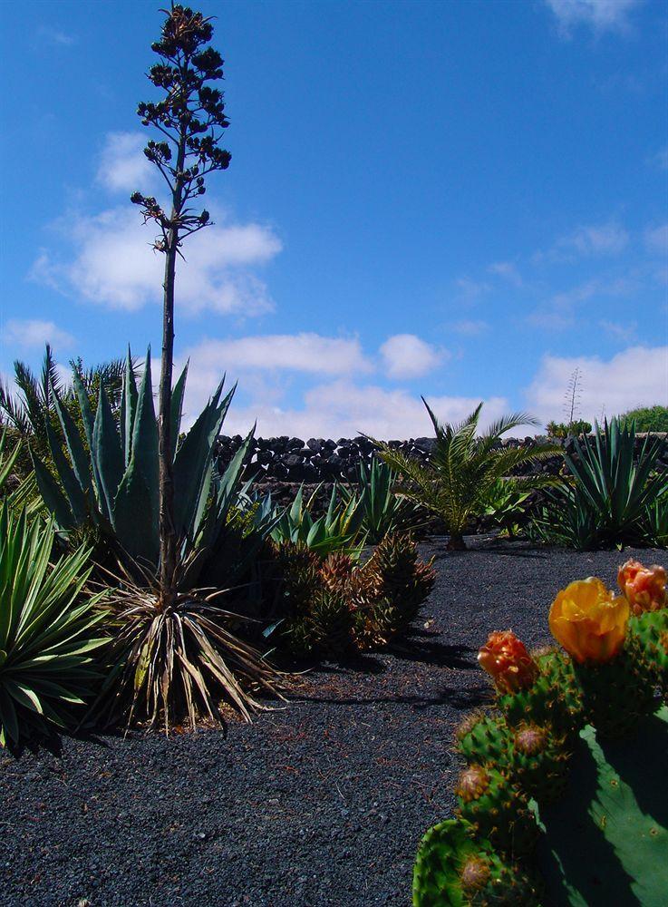 Гостевой дом Kalindi Lanzarote Коста-Тегисе Экстерьер фото